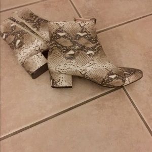 ZARA faux snake skin bootie 🖤